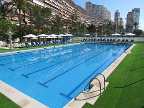Seasonal outdoor pool, pool umbrellas, pool loungers