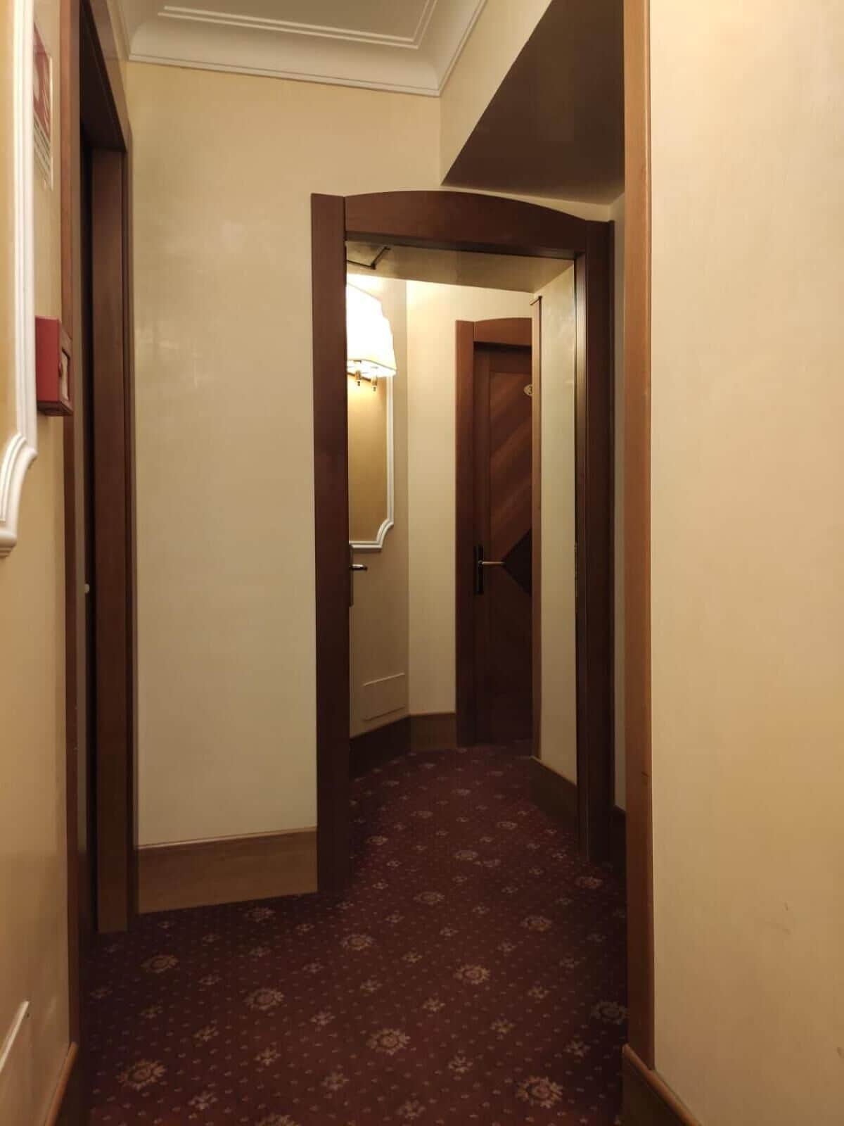 Un couloir étroit, doté d’un tapis à motifs, de portes en bois et d’un luminaire.