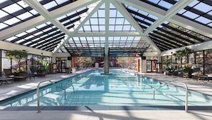 An indoor swimming pool with a glass ceiling, surrounded by lounge chairs and potted plants.