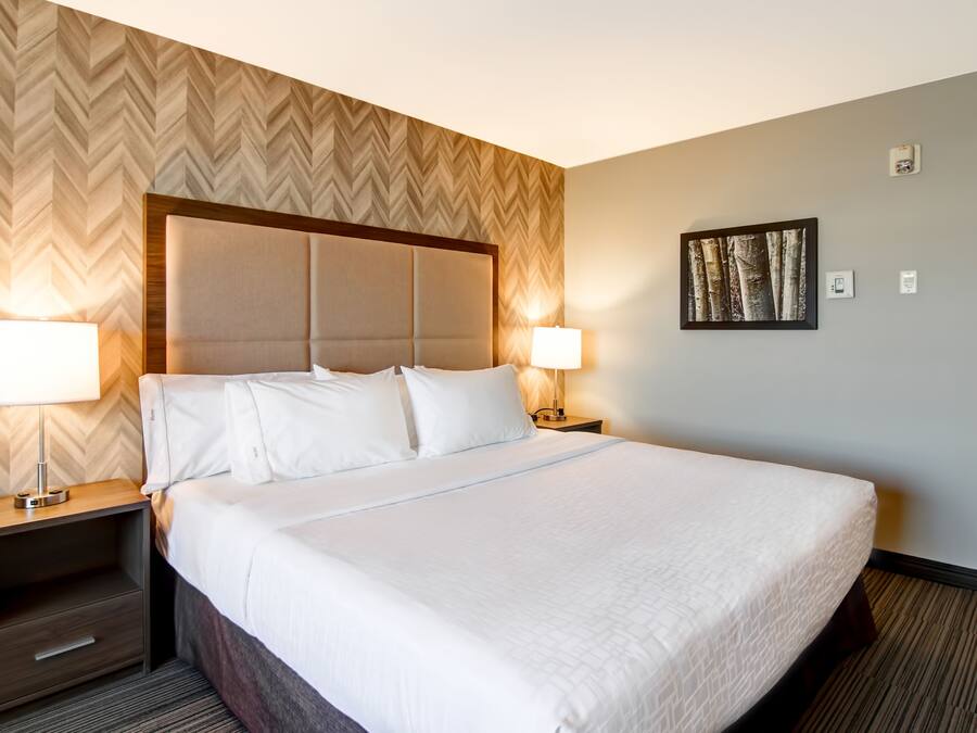 Una habitación de hotel con una cama grande, dos mesitas de noche con lámparas, un cabecero de madera, un revestimiento de pared con diseño de espiga y un cuadro enmarcado en la pared.