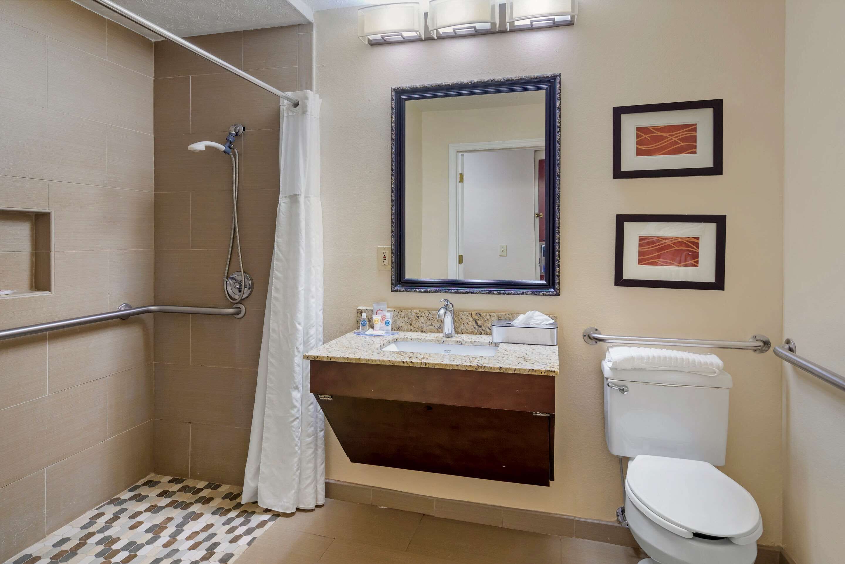 A bathroom with a shower, toilet, sink, and handrails.