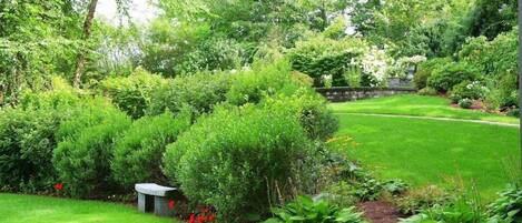 A lush garden with a variety of green plants and a stone bench.