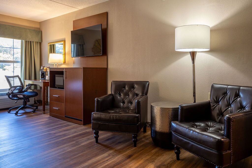 studio suite | 1 bedroom, premium bedding, individually decorated