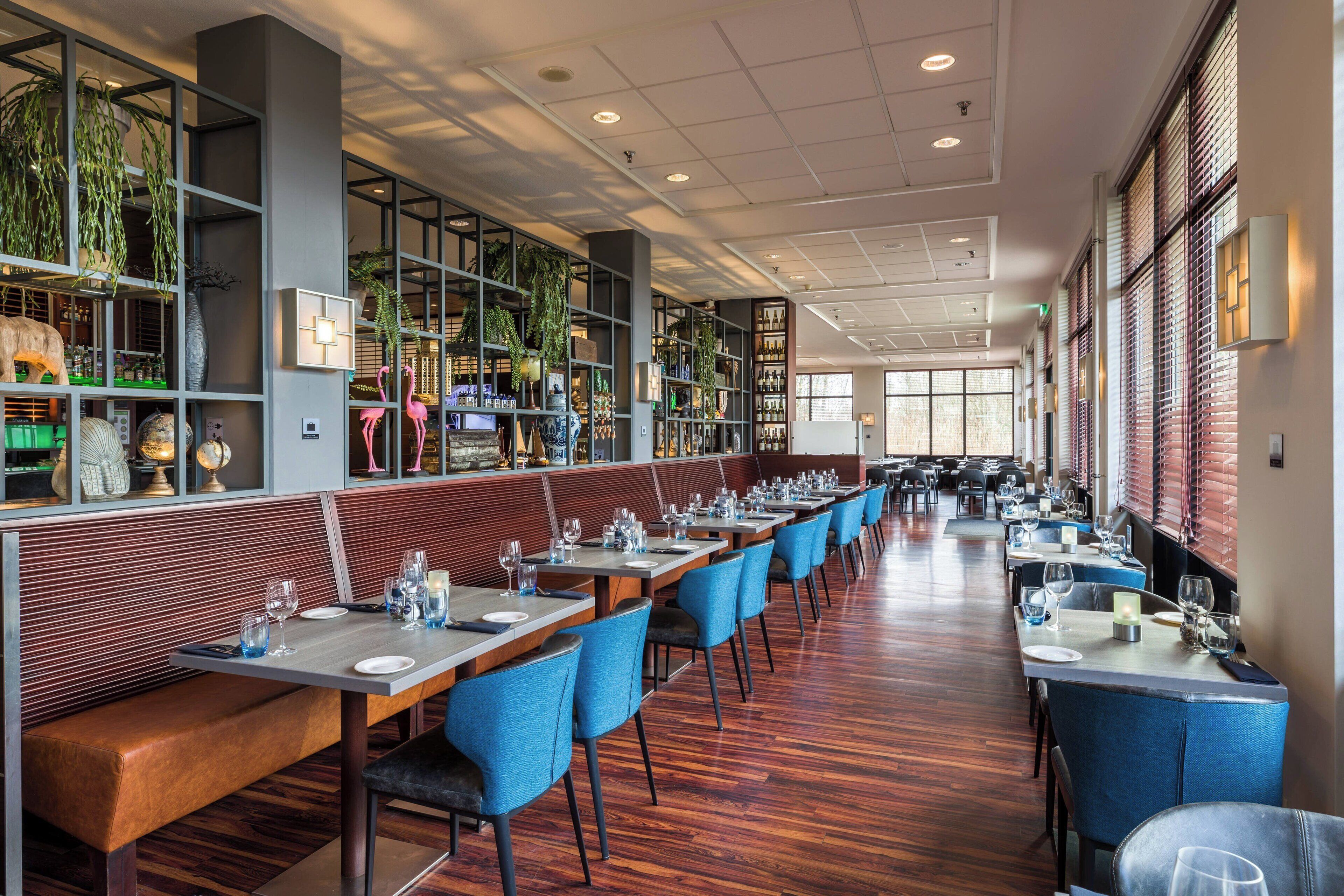 A spacious restaurant with long tables, blue chairs, and a variety of plants displayed on shelves.