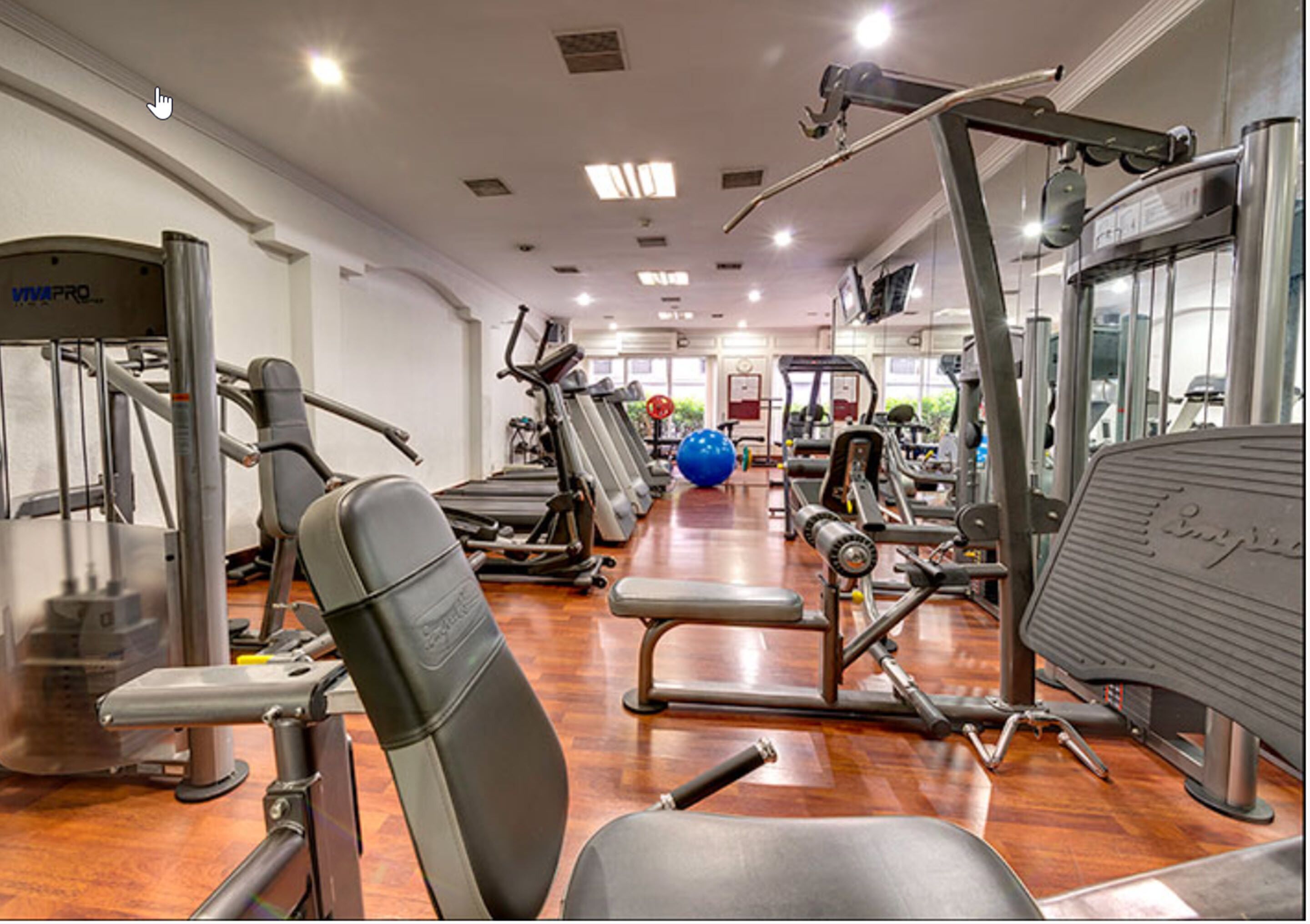 A gym with various exercise machines, a blue exercise ball, and a treadmill.