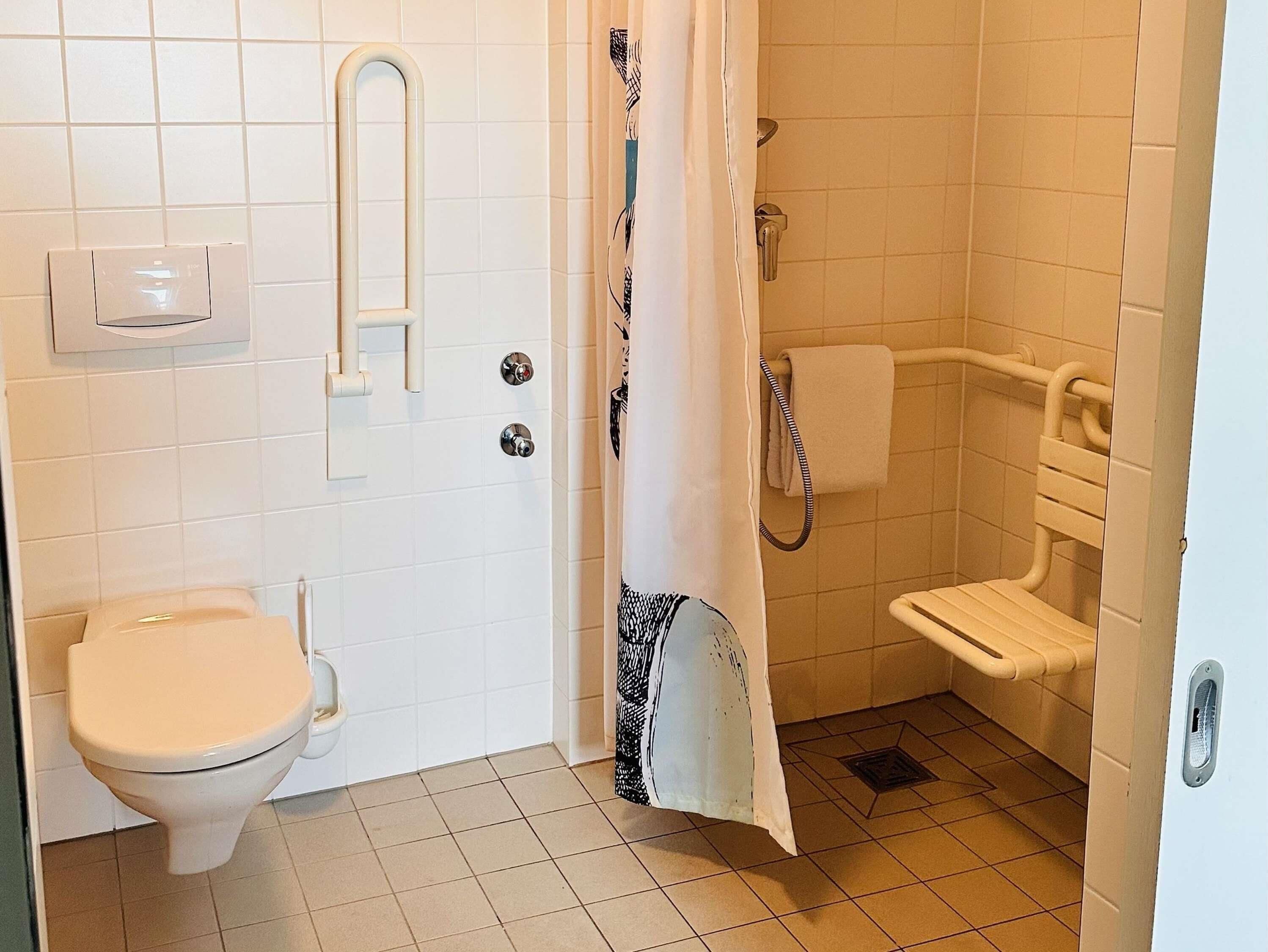 A bathroom with a toilet, a shower curtain, and a handrail.