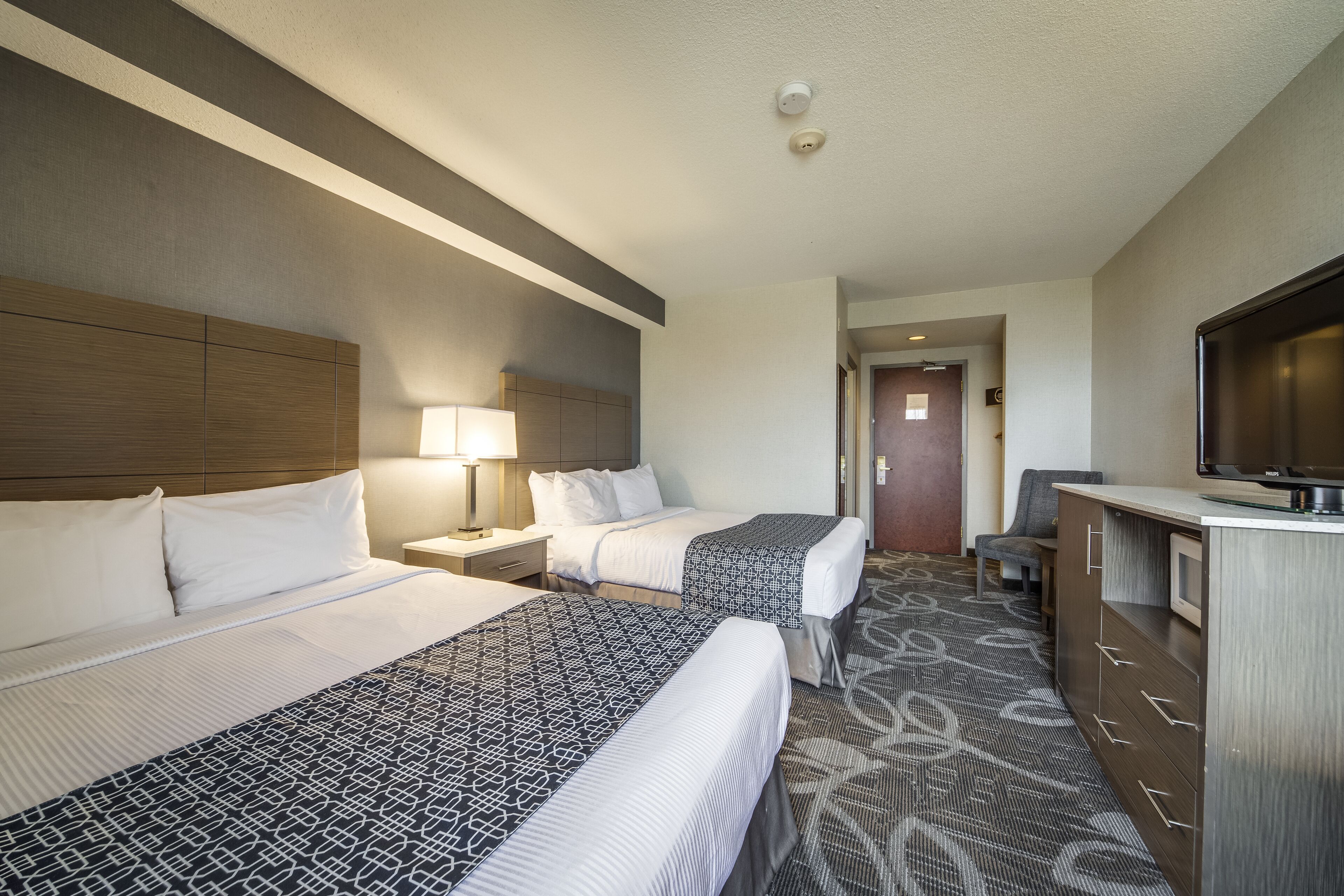 Habitación de hotel con dos camas, un escritorio, un televisor y una alfombra estampada.
