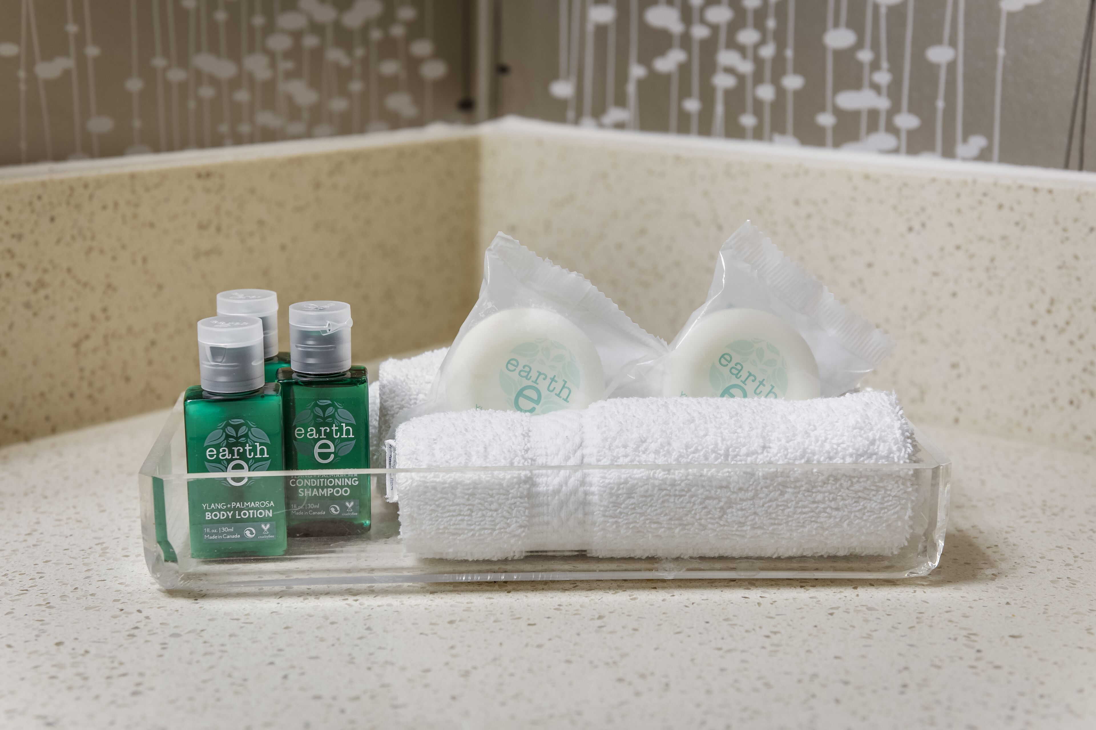 Foto - Monte Carlo Inn Airport Suites