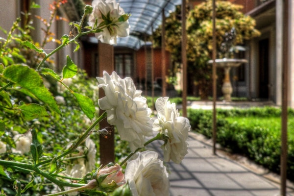 Jardin