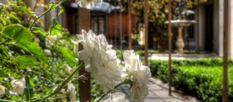 Orto De Medici Hotel