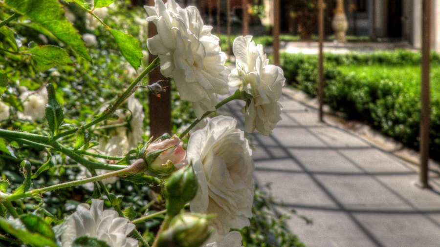 Orto De Medici Hotel