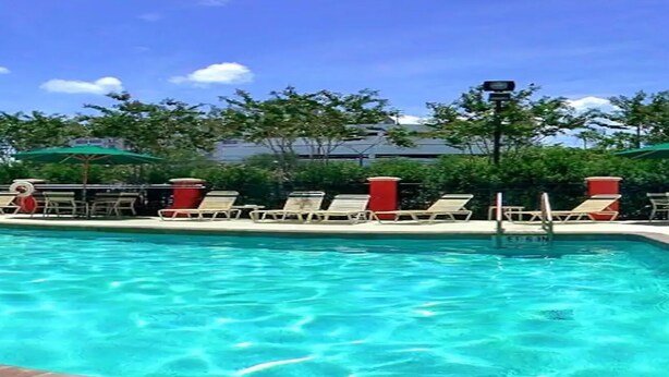 A swimming pool with lounge chairs and umbrellas, surrounded by trees and a clear sky. - SpringHill Suites by Marriott Tampa Westshore Airport (Tampa)