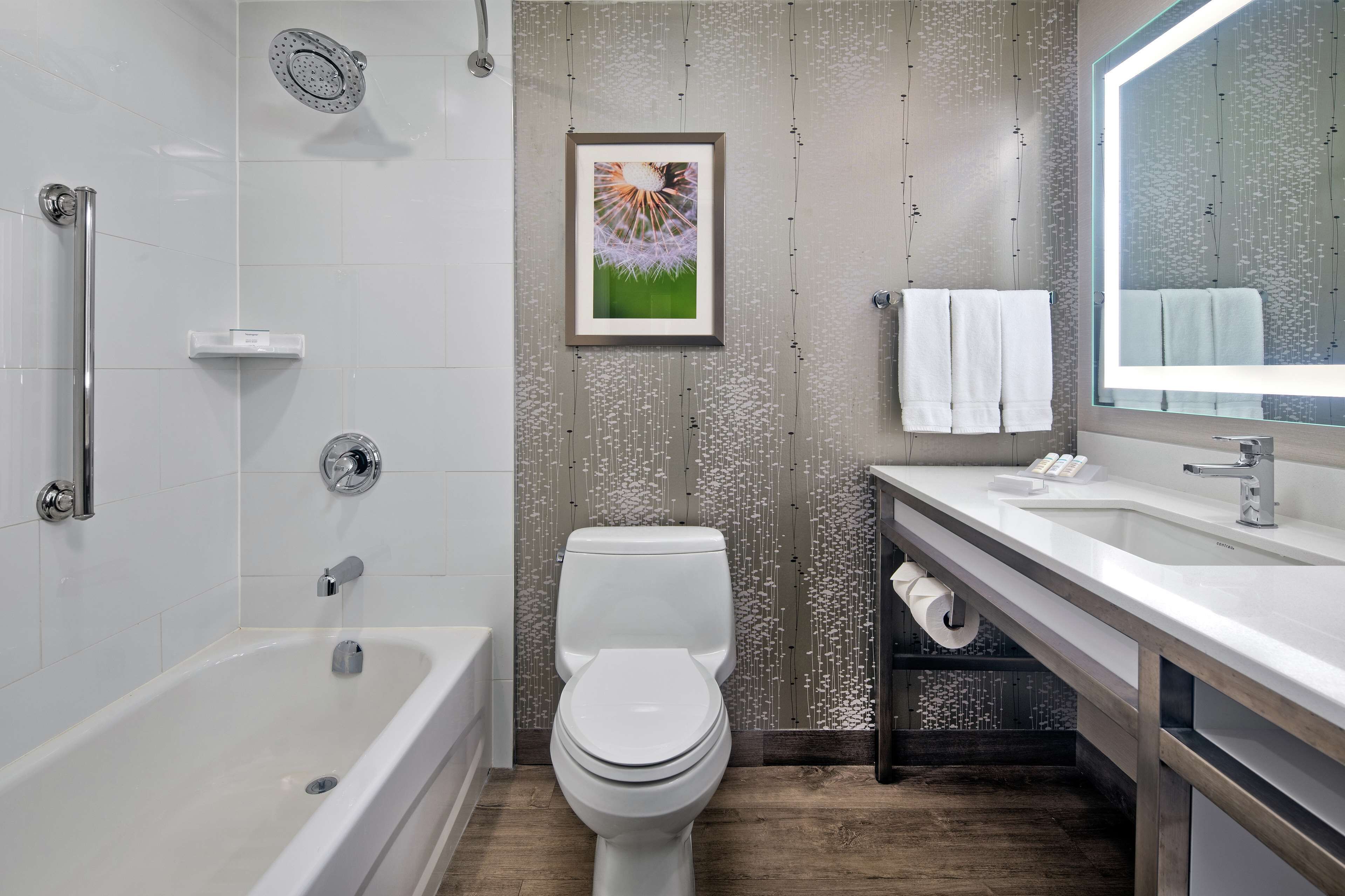 free toiletries, hair dryer, towels