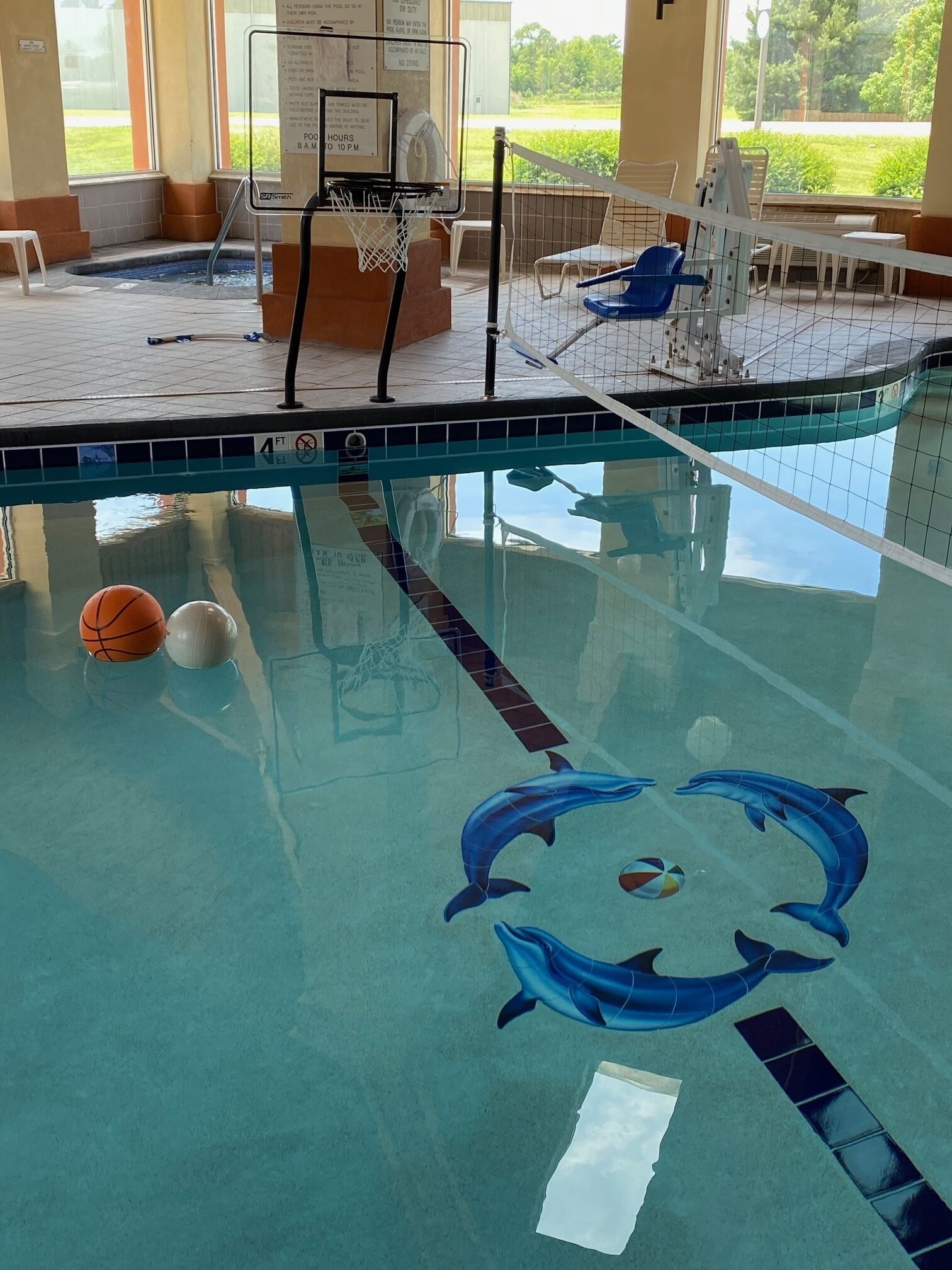 Une piscine intérieure dotée d’un panier de basketball, d’une fresque représentant des dauphins et offrant une vue sur l’extérieur.