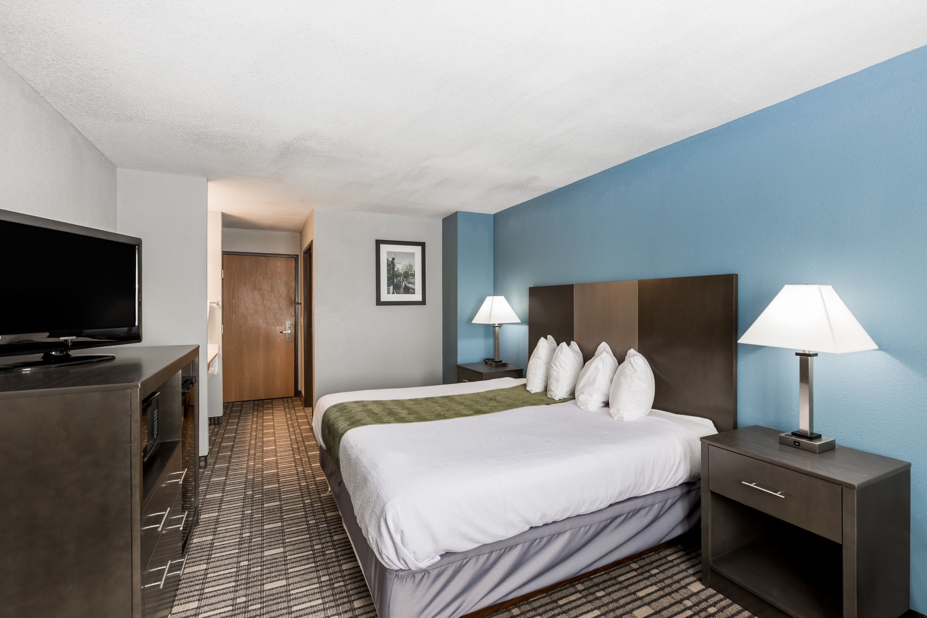 Una habitación de hotel con cama, mesitas de noche, televisor y alfombra estampada.