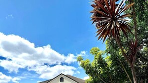 A building with a flat roof, a central entrance, and a parking lot in front. - Anglesea Motel and Conference Centre (Hamilton)