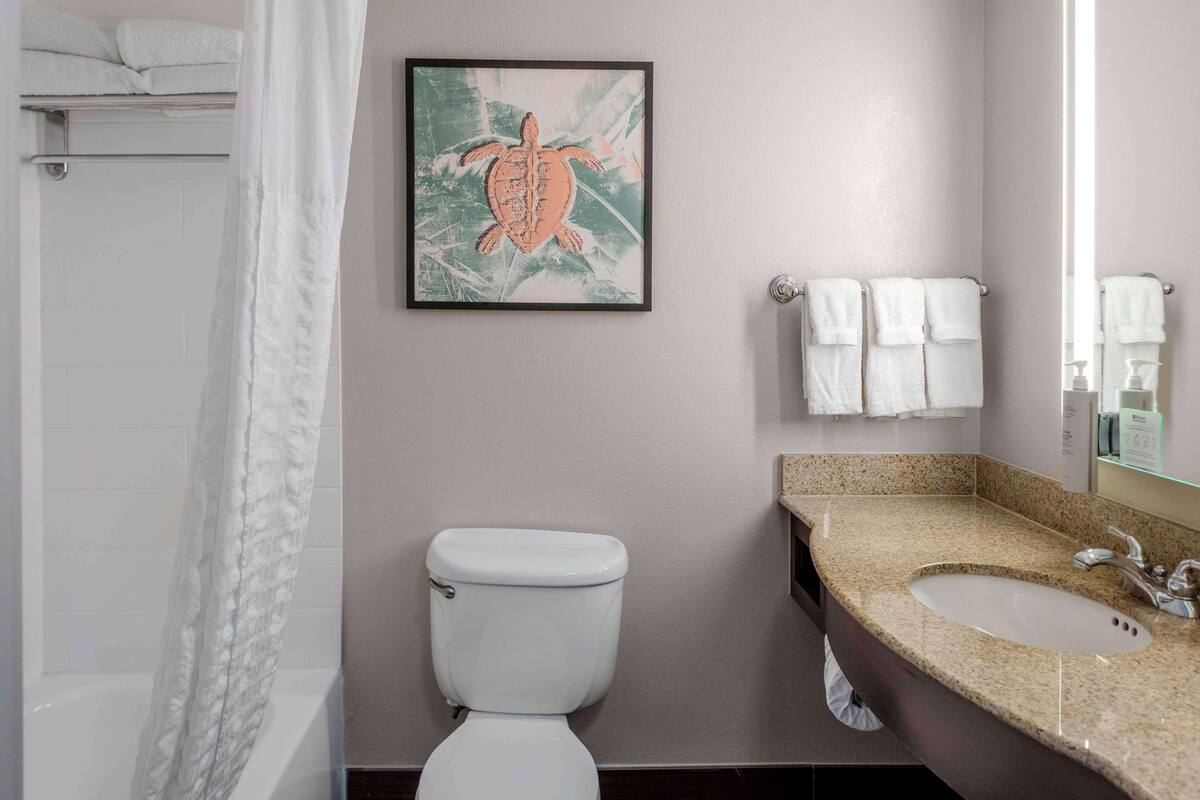 A bathroom with a toilet, sink, and a framed picture of a turtle on the wall.