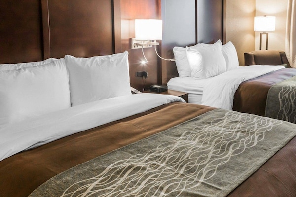 Standard Room, 2 Queen Beds | 1 bedroom, premium bedding, down duvets, pillow-top beds