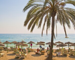Ein Strand mit Palmen, Liegestühlen und Reetdachschirmen.