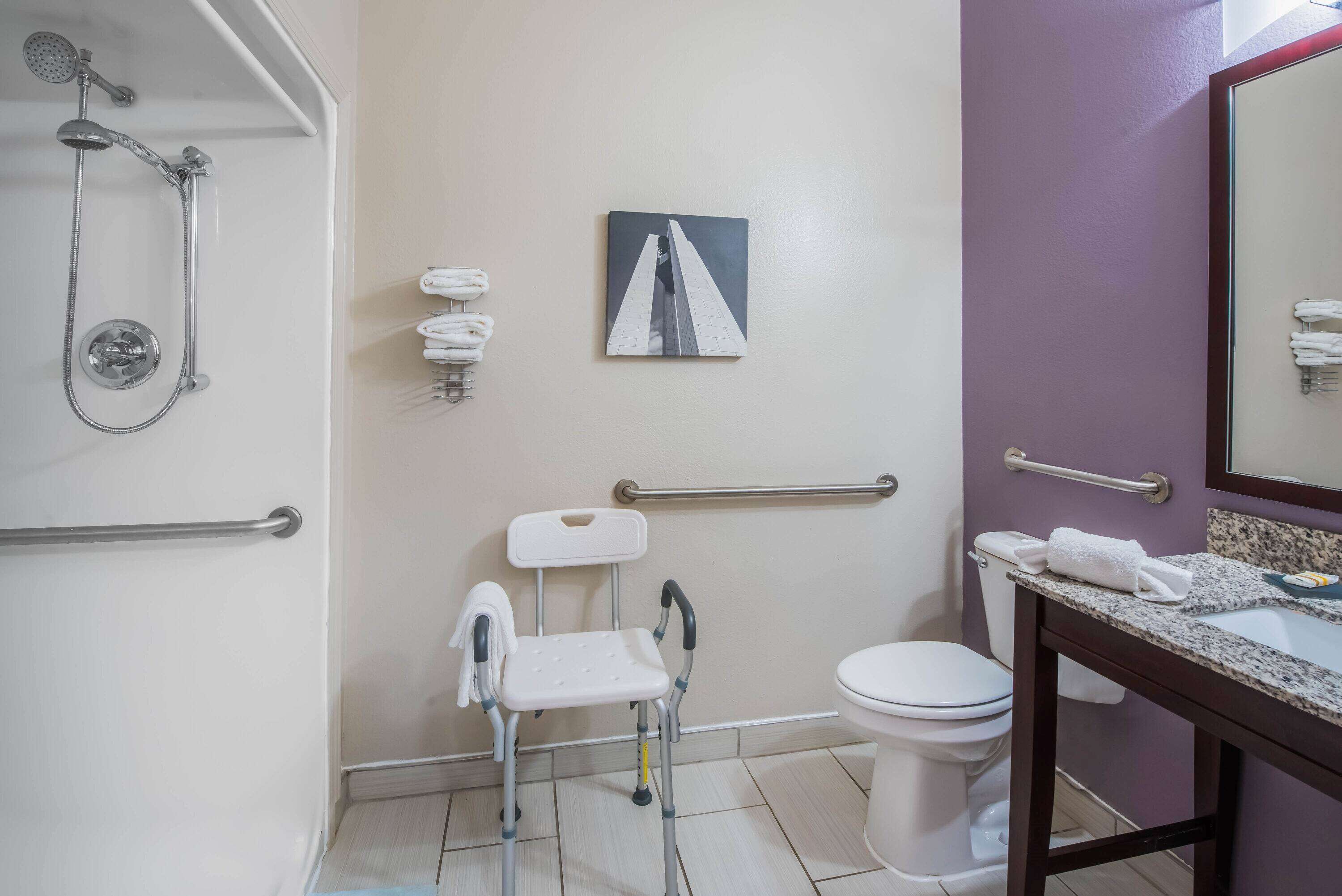 A bathroom with a shower, toilet, and a handrail for accessibility.