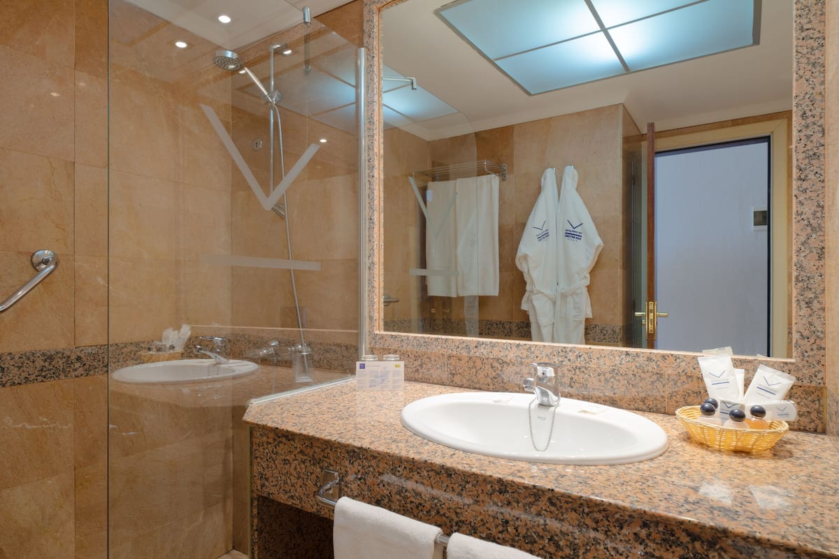 combined shower/bathtub, free toiletries, hair dryer, bidet