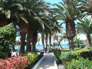Jardín