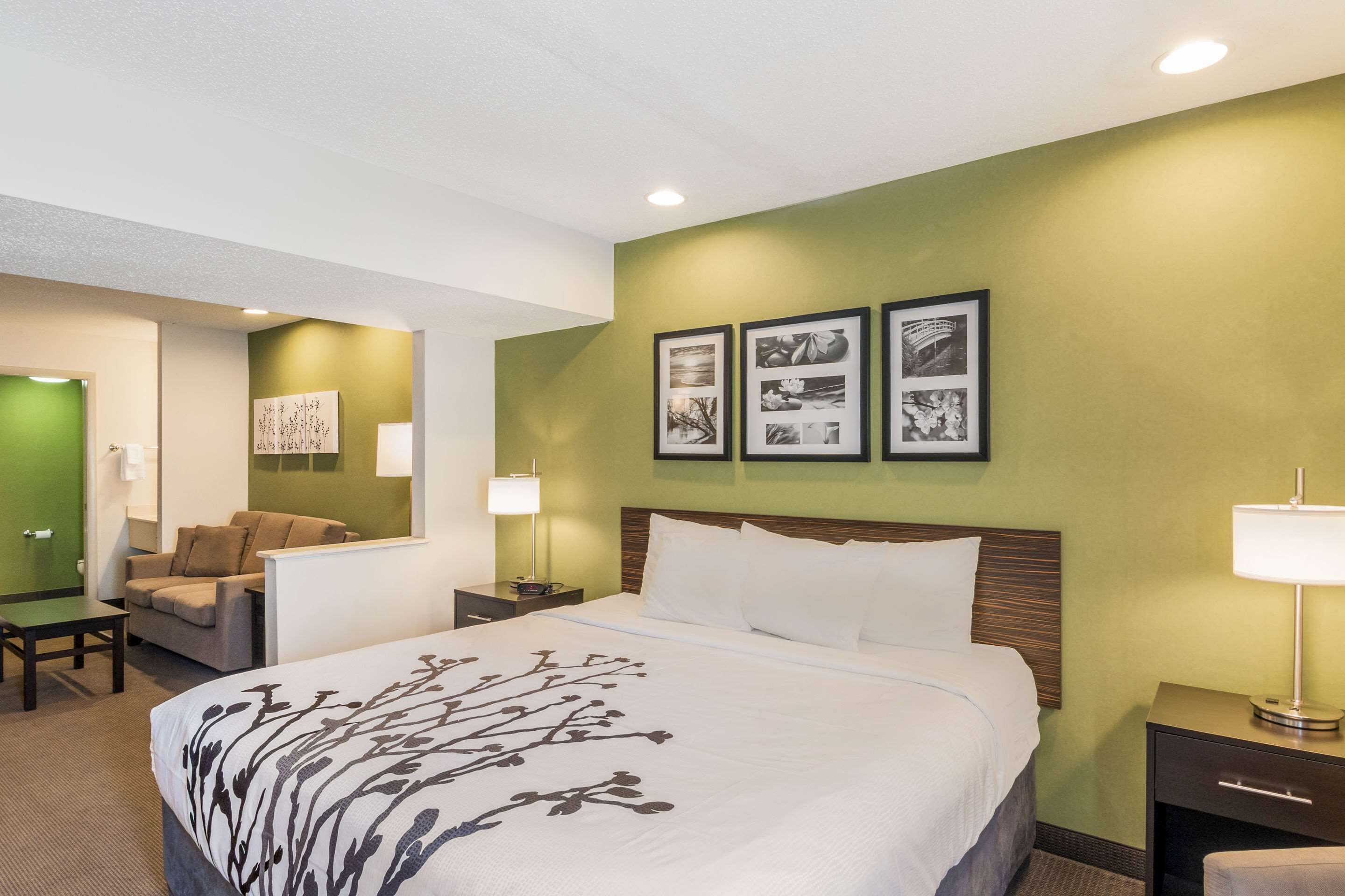 standard room, 1 king bed with sofa bed, non smoking | desk, laptop workspace, blackout curtains, iron/ironing board