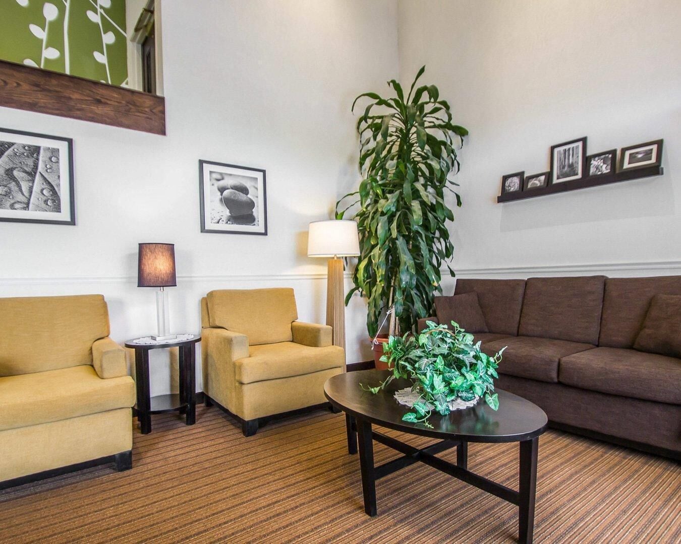 Un hall d’hôtel avec un canapé marron, un fauteuil jaune, une petite table ronde, un lampadaire et une grande plante verte.