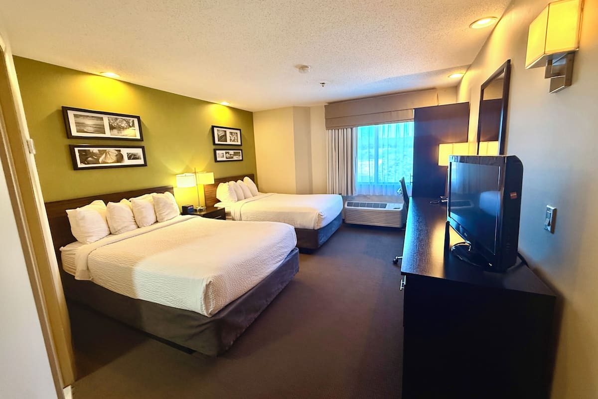 Standard Double Room, 2 Double Beds, Non Smoking