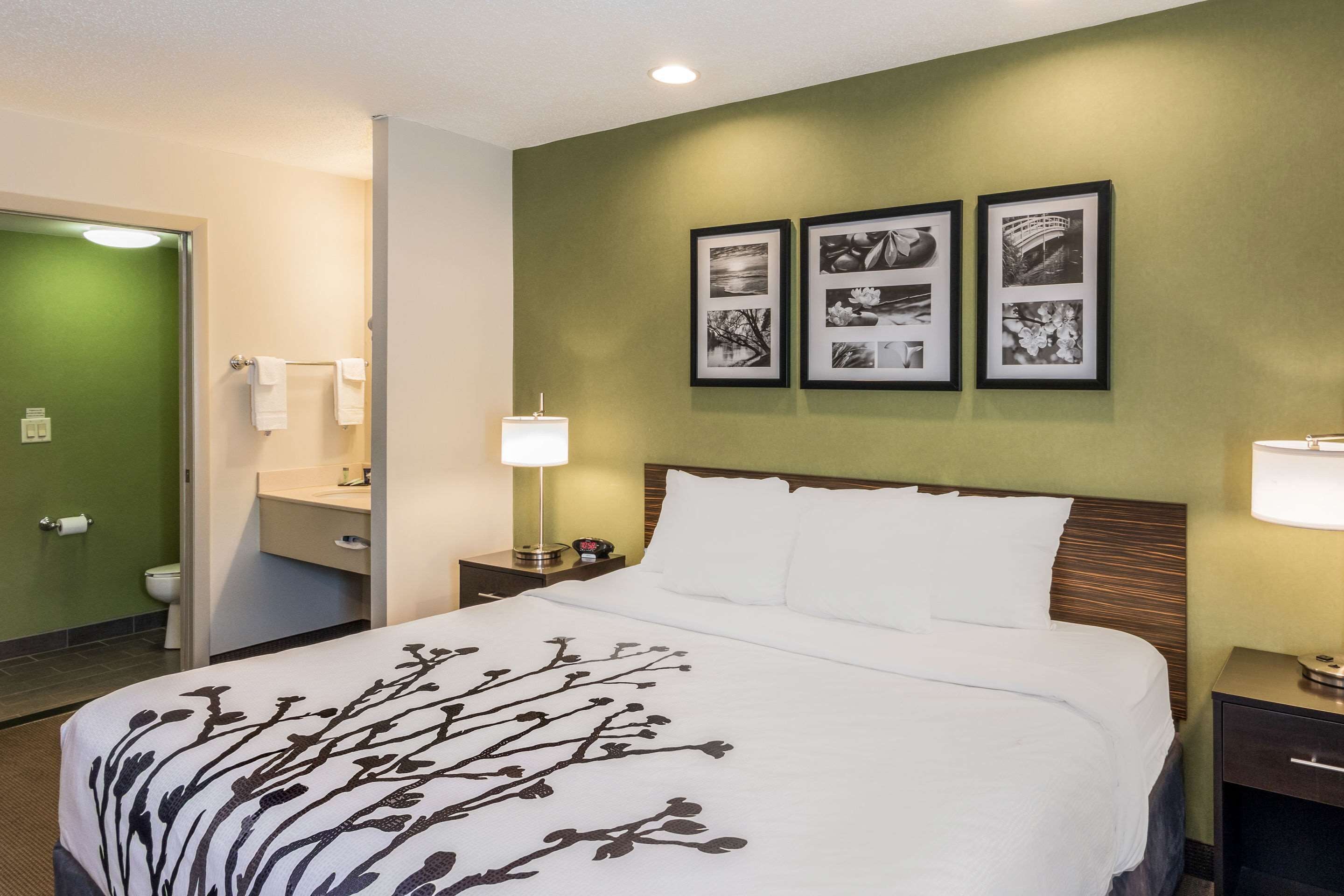 Habitación de hotel con cama, mesita de noche, lámpara, pared verde y cuadros en la pared.