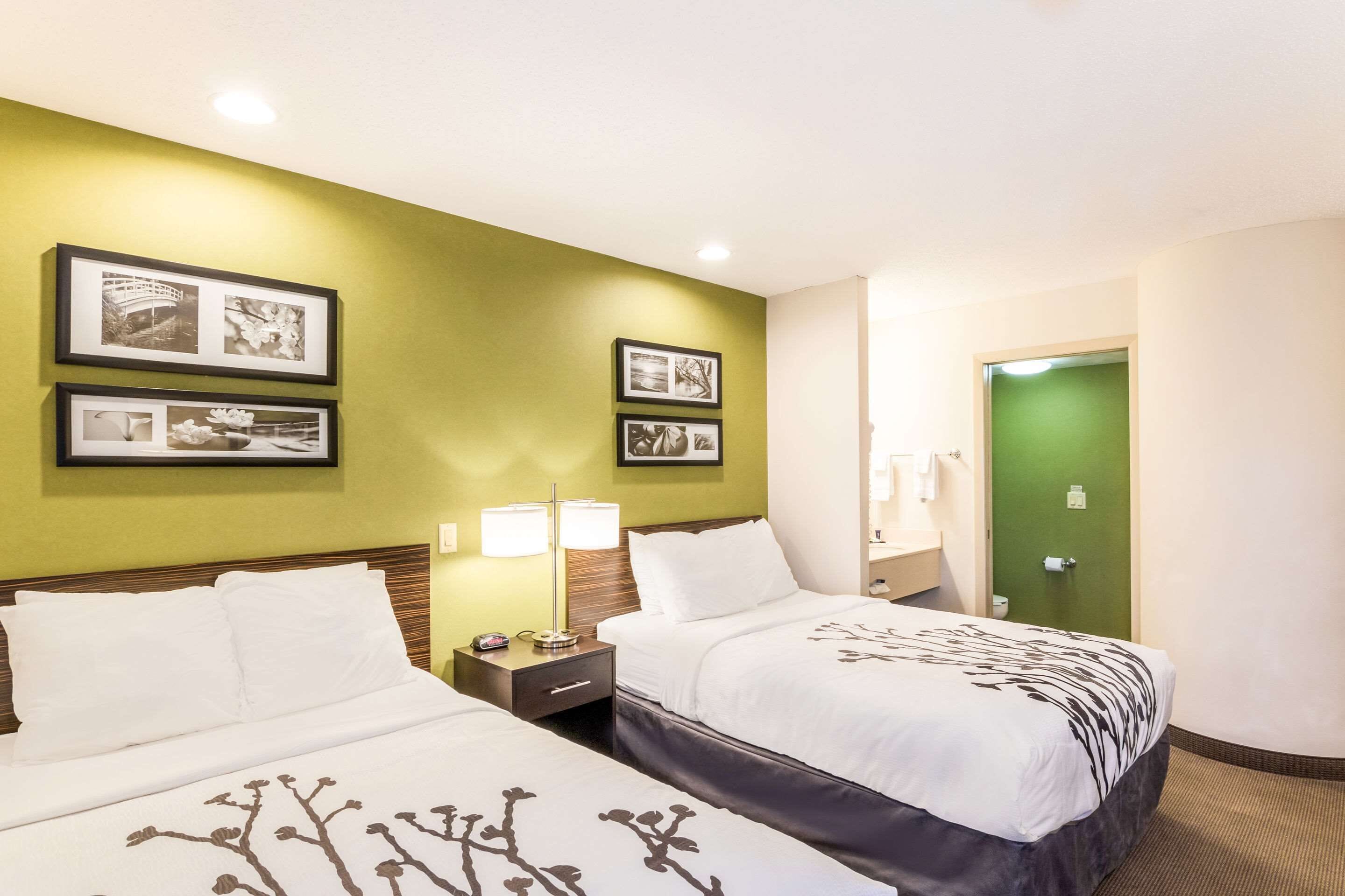 A hotel room with two beds, green walls, framed pictures, and a green door.