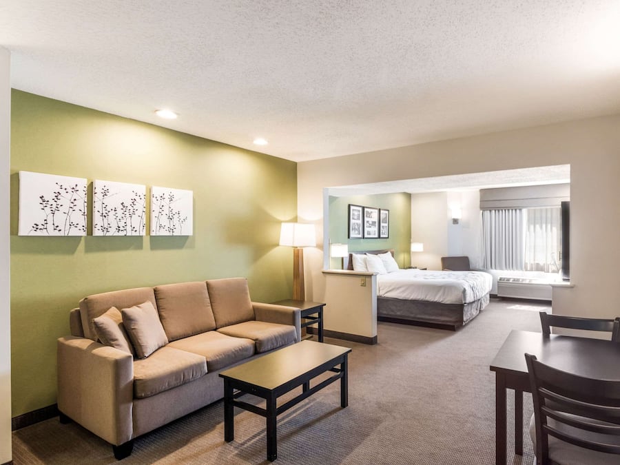 1 King Bed with Sofa bed, Non Smoking | Desk, laptop workspace, blackout drapes, iron/ironing board