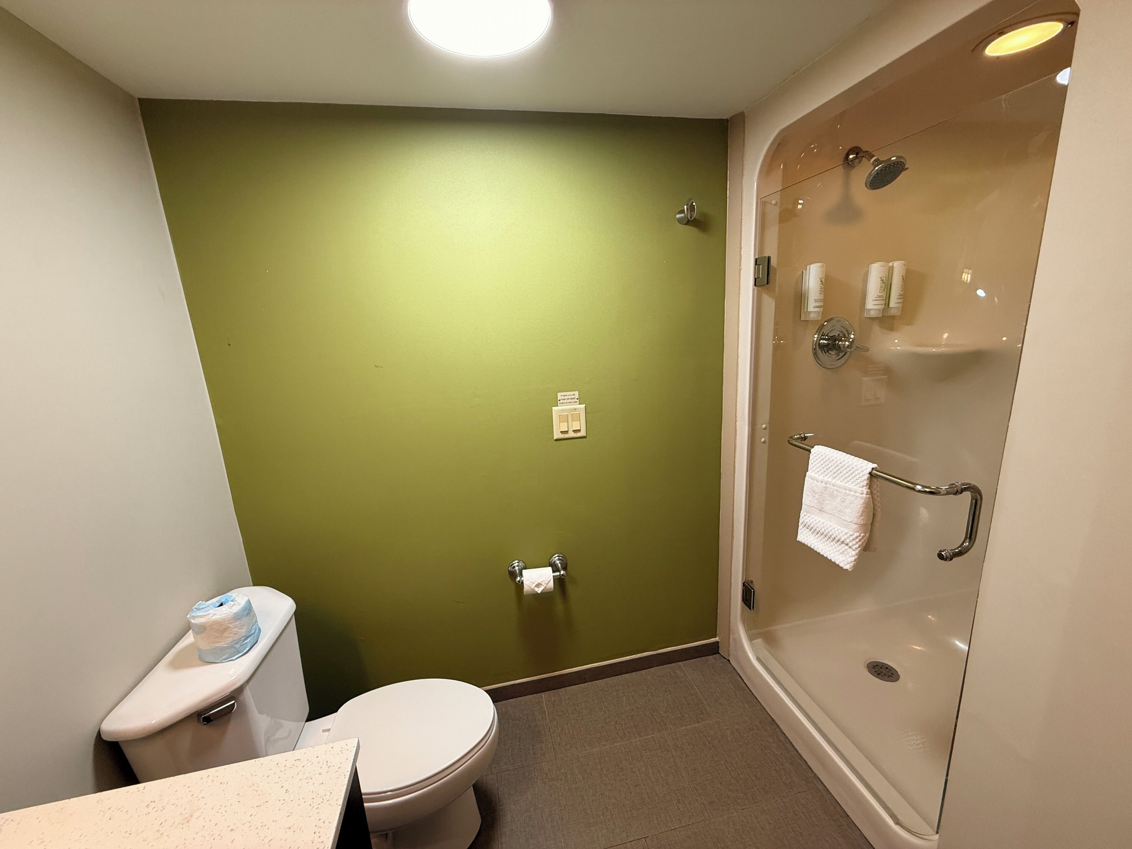 Shower, free toiletries, hair dryer, towels