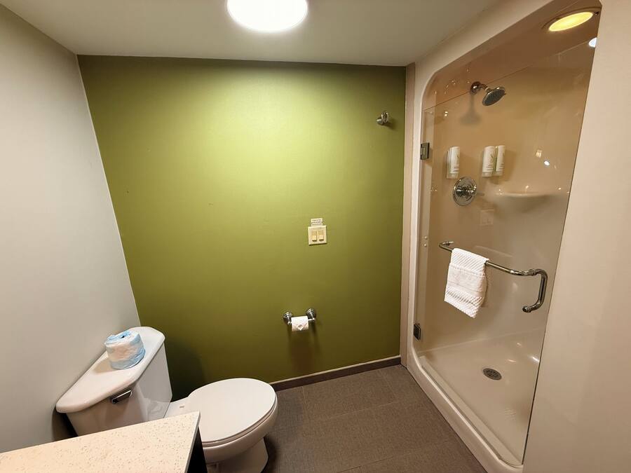 A bathroom with a toilet, a shower, and a green wall.