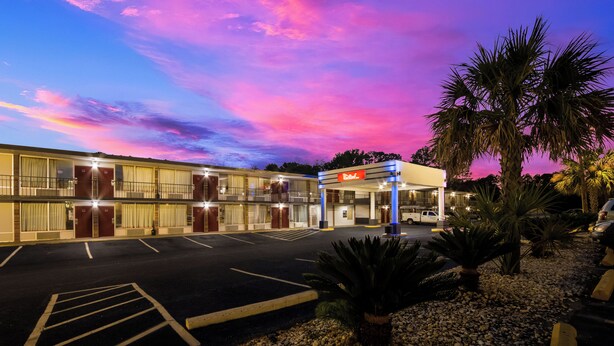 A motel with a parking lot, a Red Roof sign, and palm trees. - Red Roof Inn Columbia, SC Airport (West Columbia)