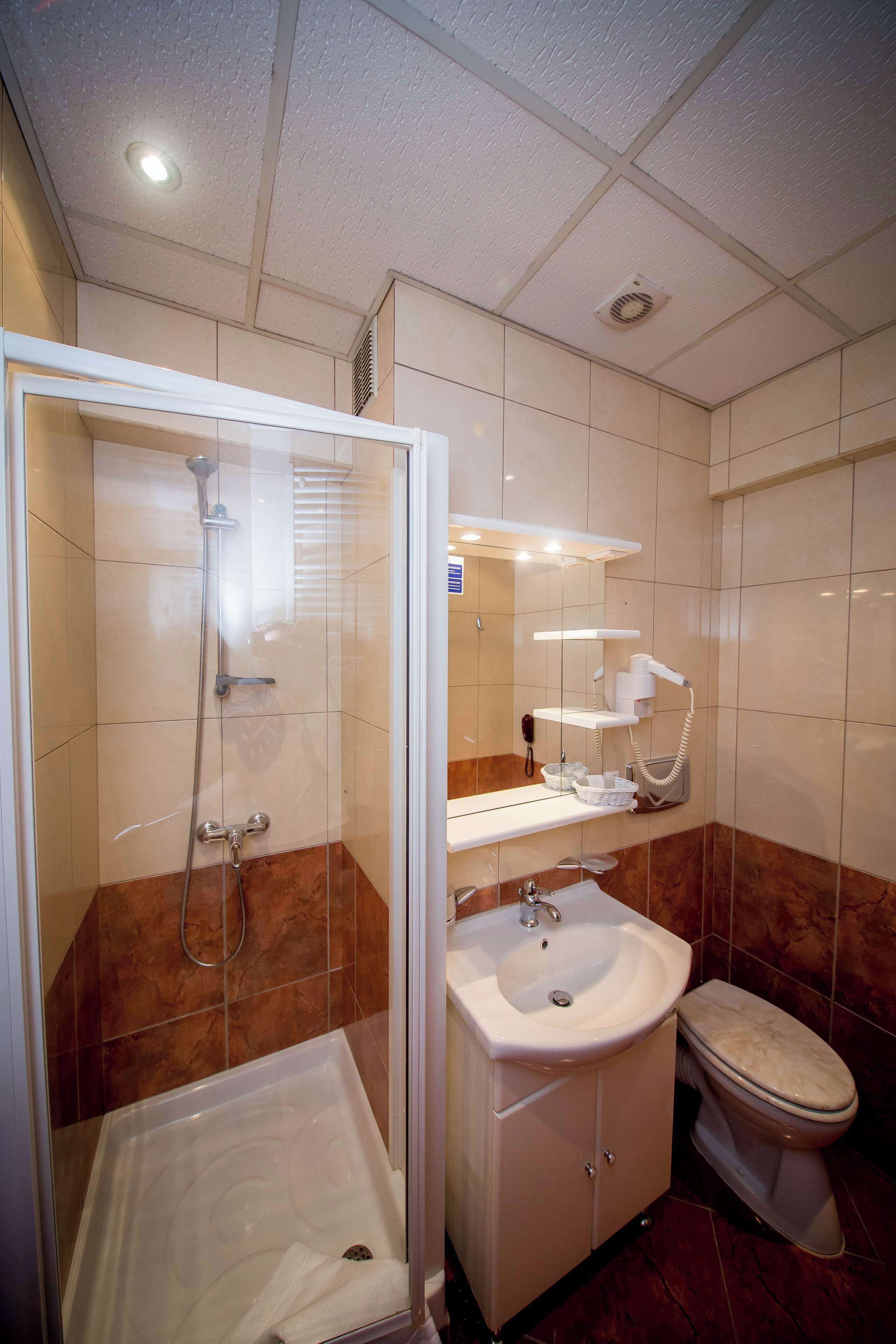 Een badkamer met een douche met glazen wand, een wastafel en een toilet.