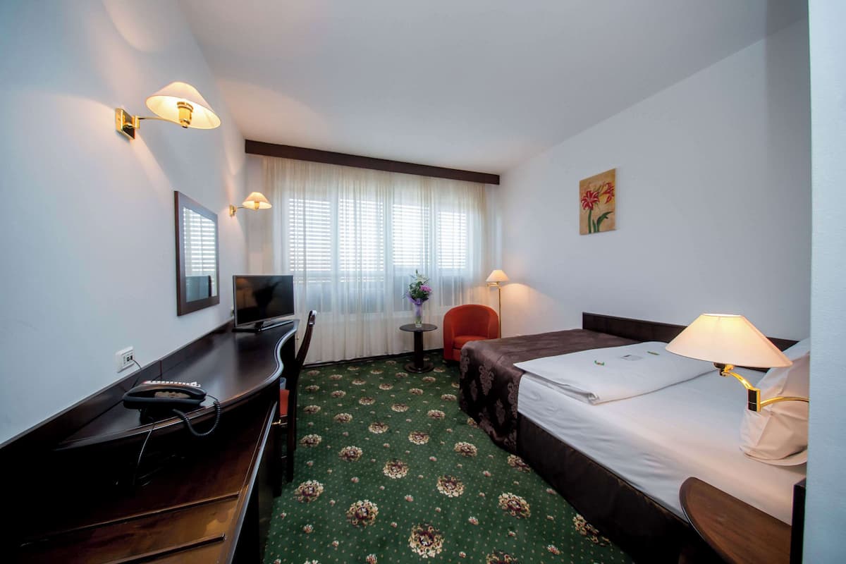 Camera Standard, 1 letto matrimoniale, non fumatori | Minibar, una cassaforte in camera, insonorizzazione, Wi-Fi gratuito