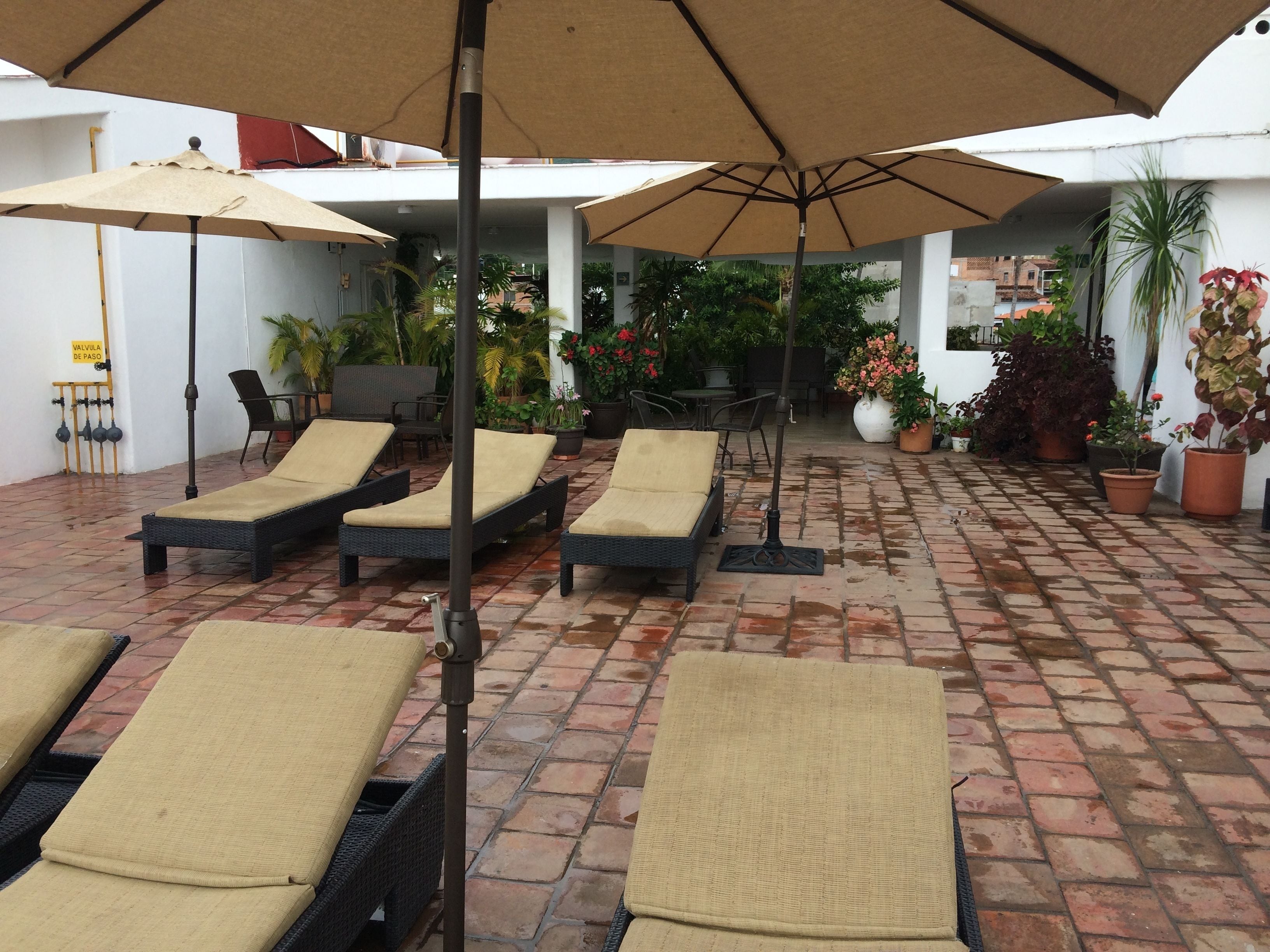 Un espace patio avec quatre chaises longues placées sous des parasols, entouré de plantes en pot et doté d’un sol en briques.