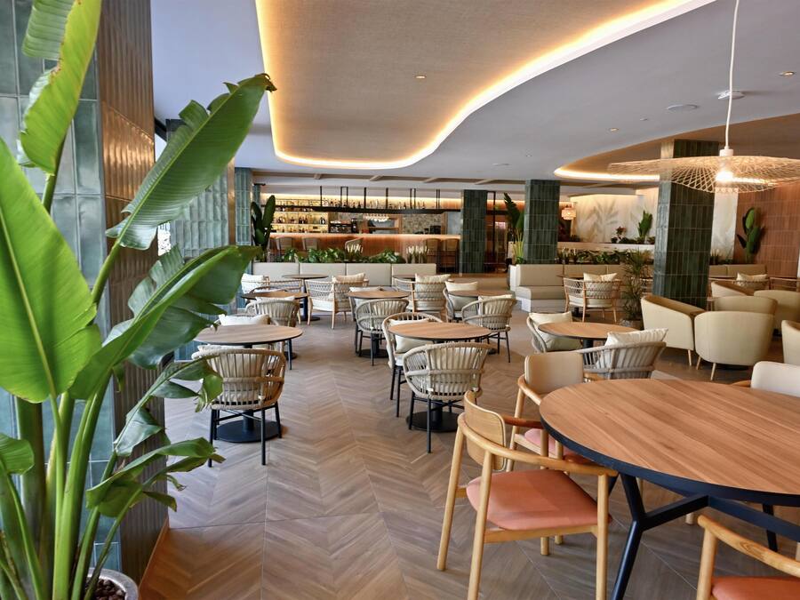 A modern restaurant with round tables and chairs, a bar area, and large potted plants.