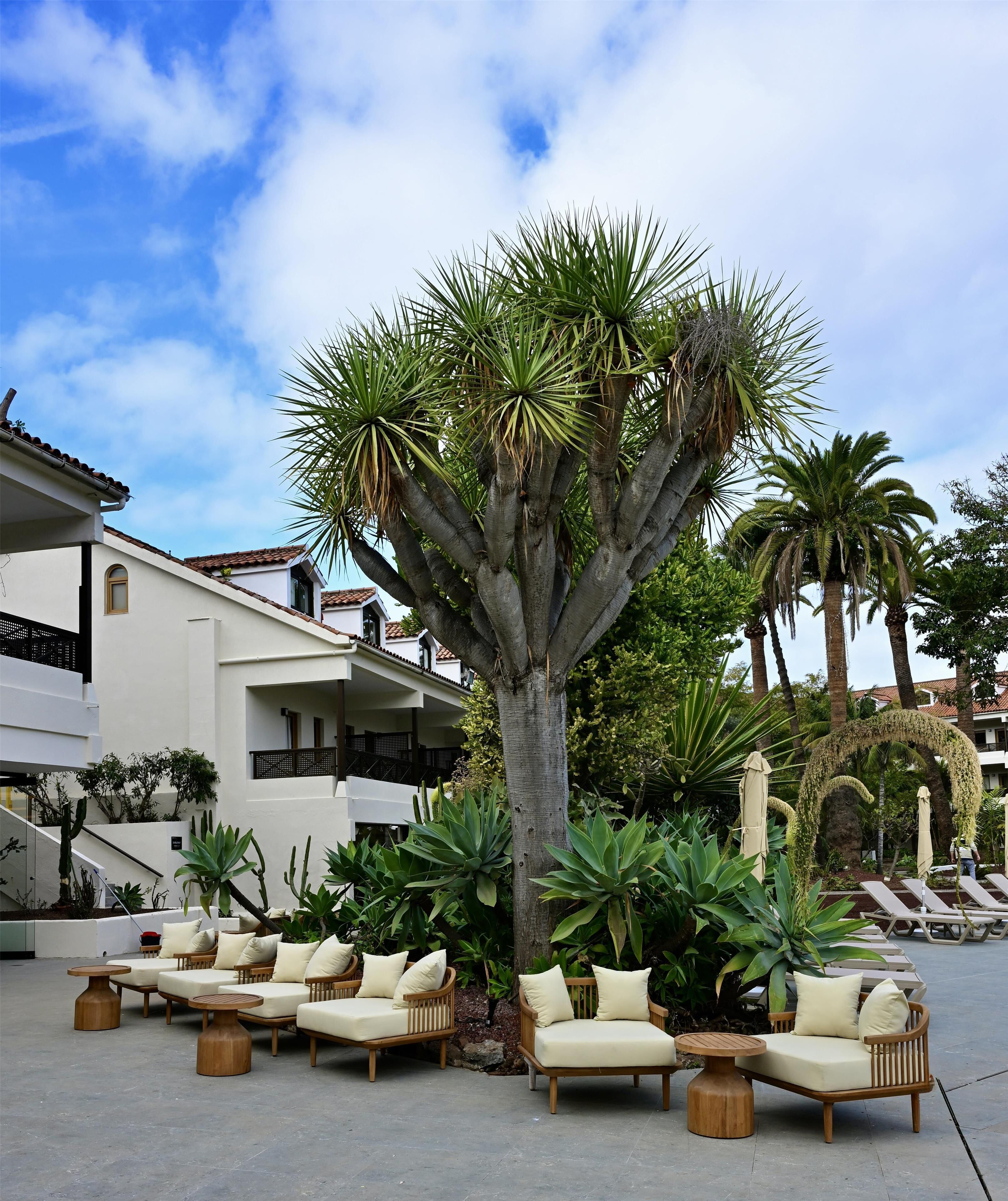 2 bars i un bar al costat de la piscina 