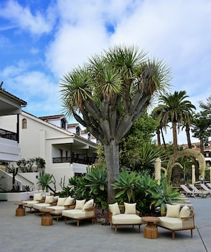 2 bars/lounges, poolside bar