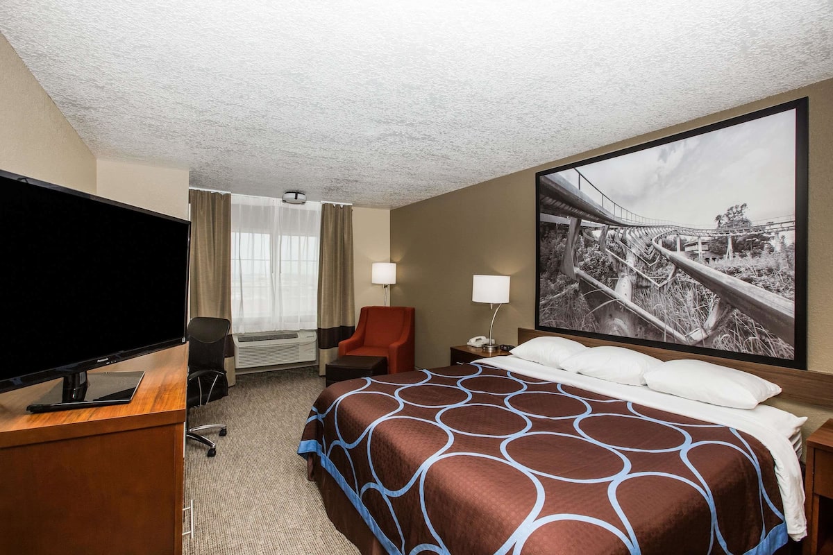 Habitación de hotel con una cama grande, un escritorio con televisor de pantalla plana, una silla, una mesita de noche con lámpara y un cuadro grande en la pared.