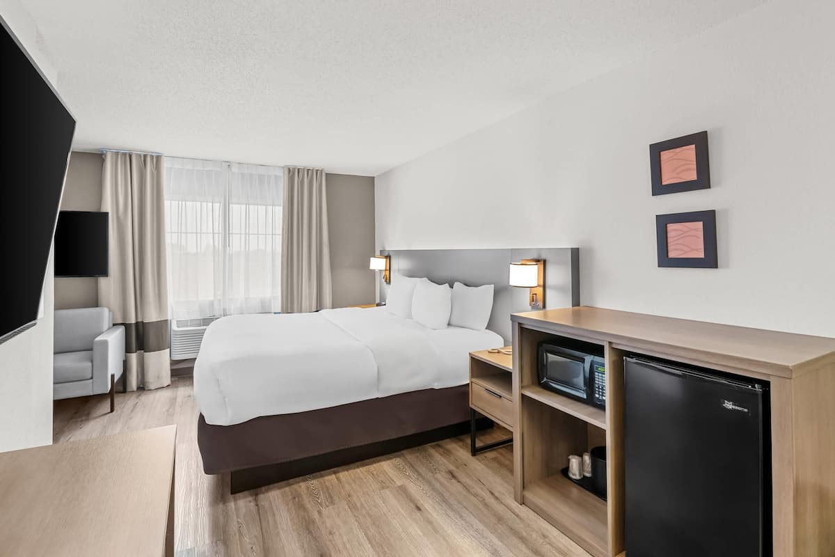 Suite, 1 King Bed with Sofa bed, Non Smoking