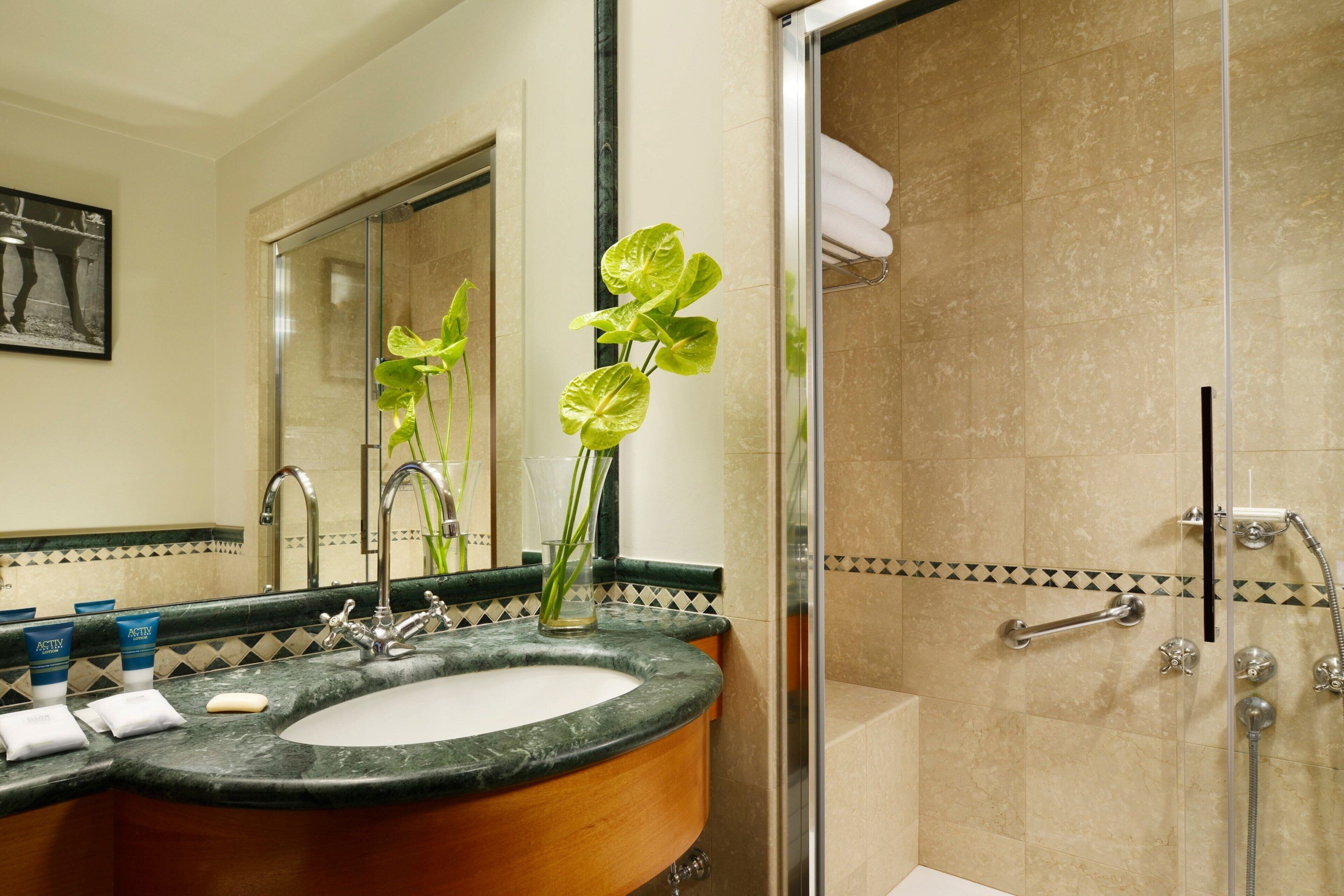 free toiletries, hair dryer, bidet, towels