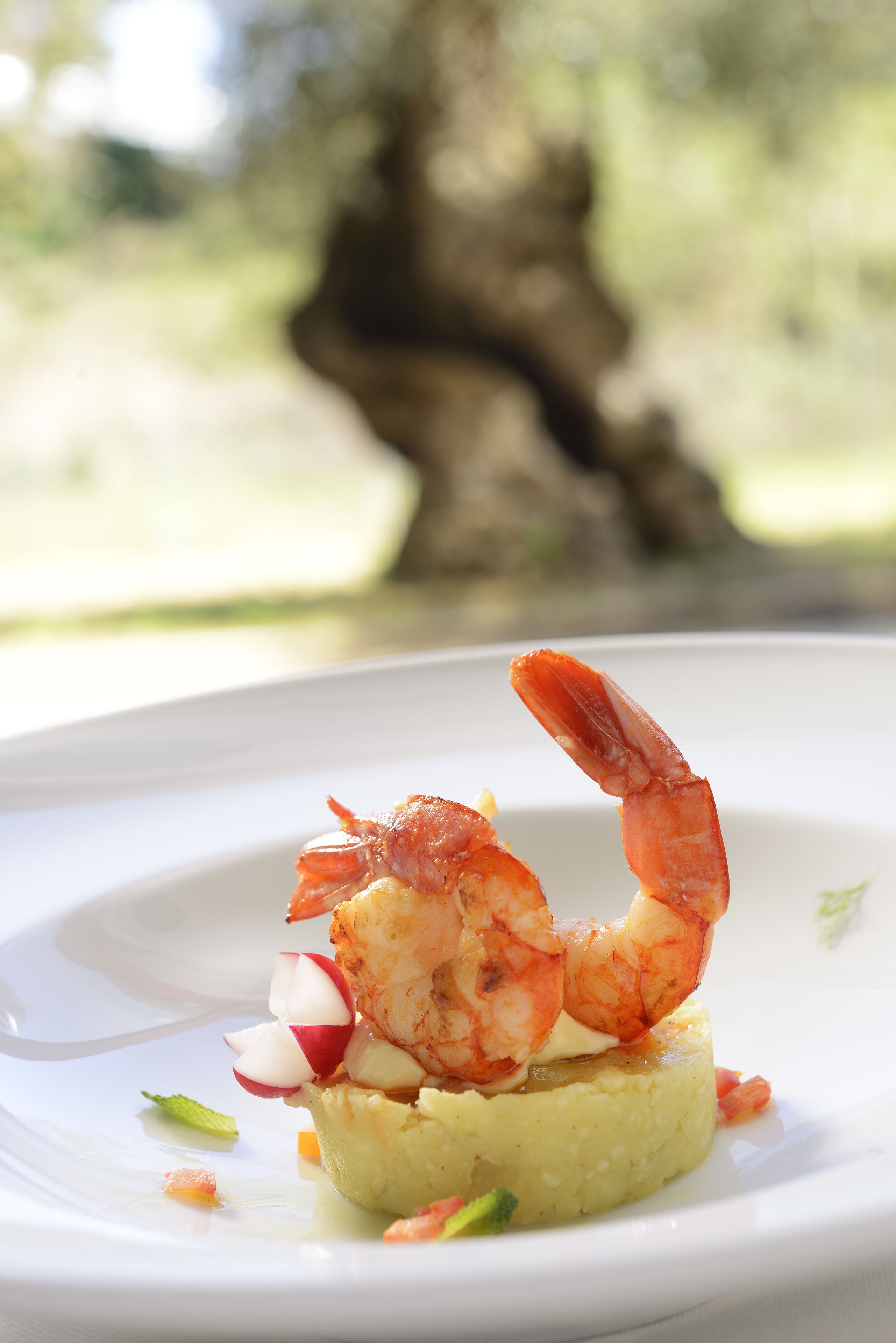 A plate with a shrimp on top of a mound of food, possibly a potato or corn dish, with some vegetables and herbs.