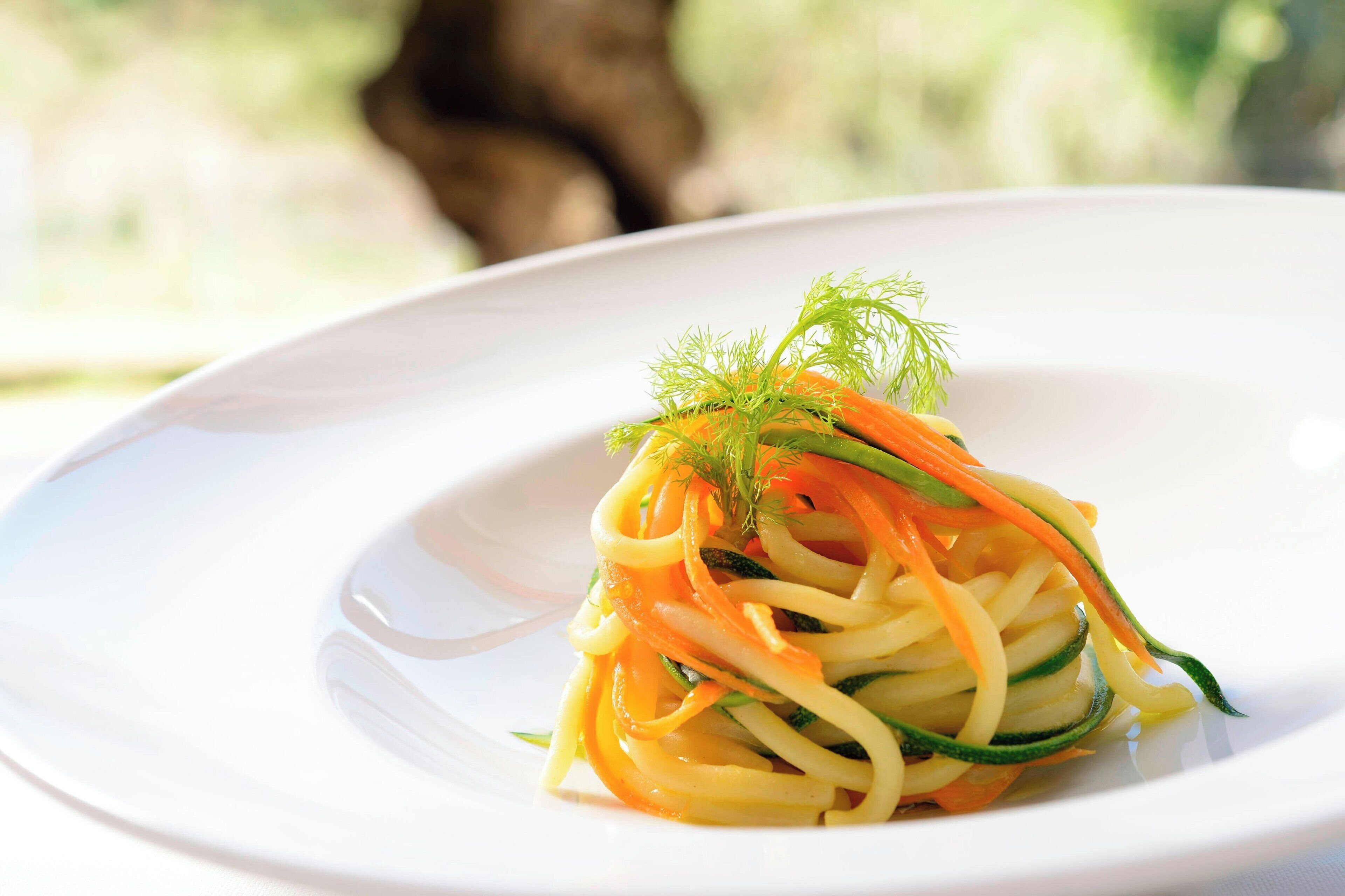 Un plato blanco con una ensalada de verduras, incluyendo calabacín y zanahorias, adornada con eneldo.