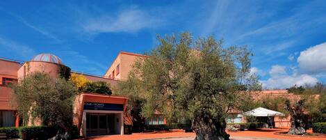 Entrada de hotel con un logotipo de cuatro puntos, un árbol grande y un cielo azul claro.