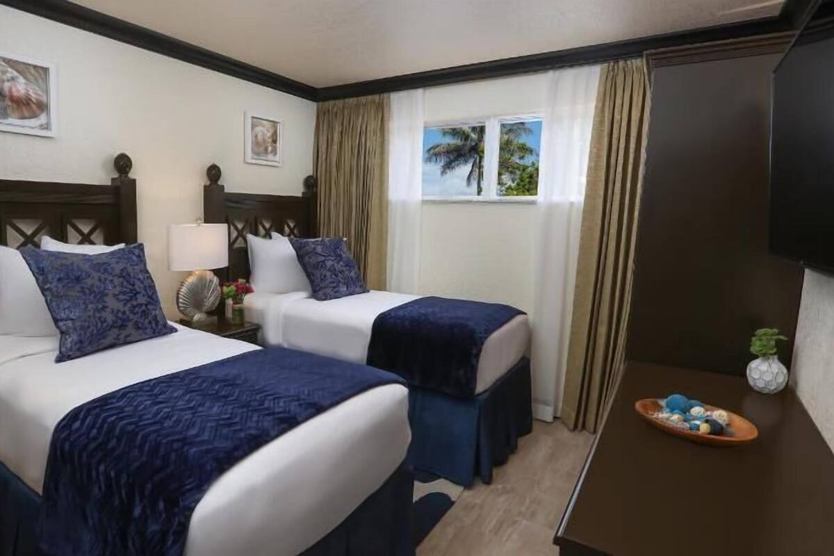 A hotel room with two beds, a TV, a window with curtains, and a small table with a plant.