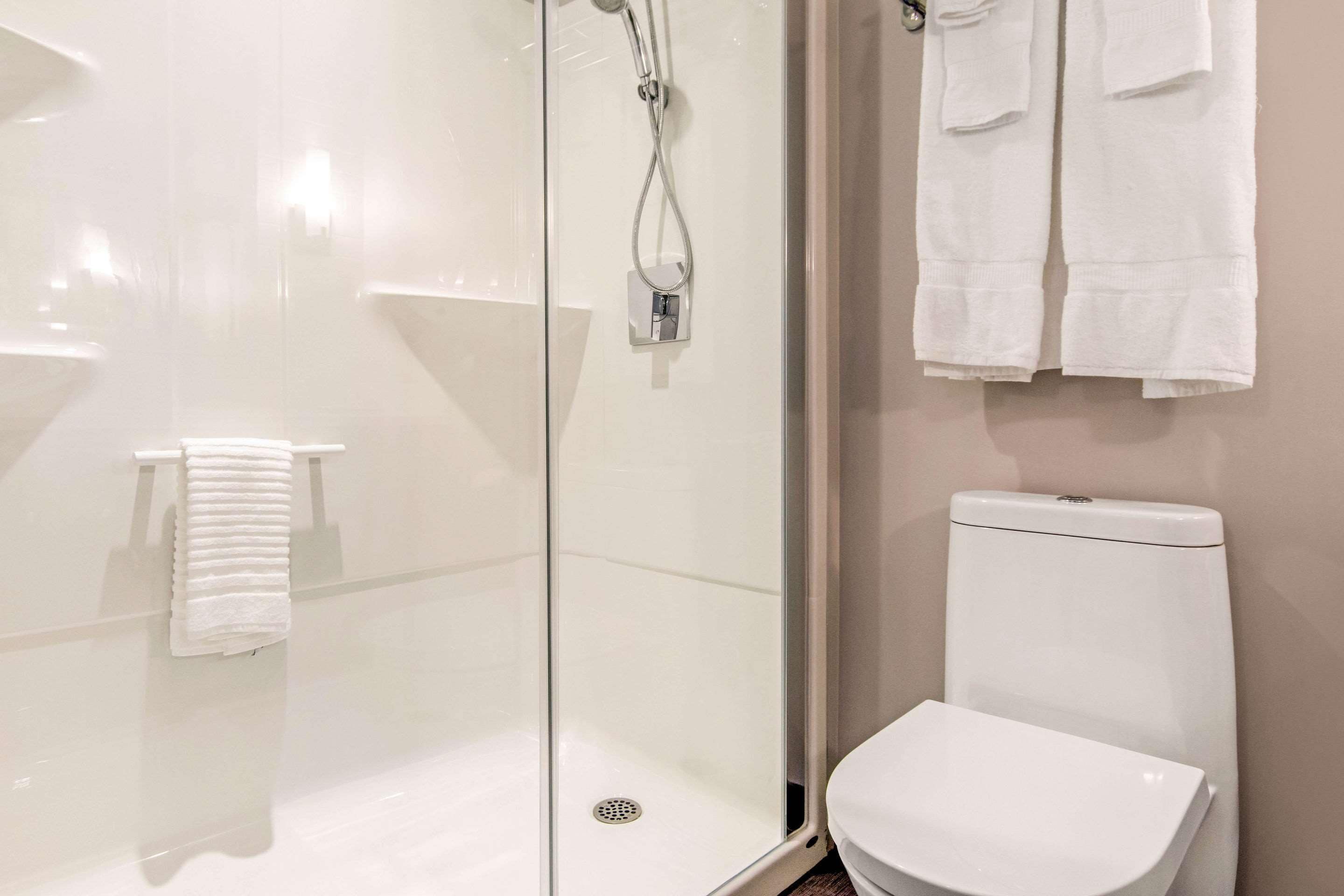 combined shower/bathtub, free toiletries, hair dryer, towels