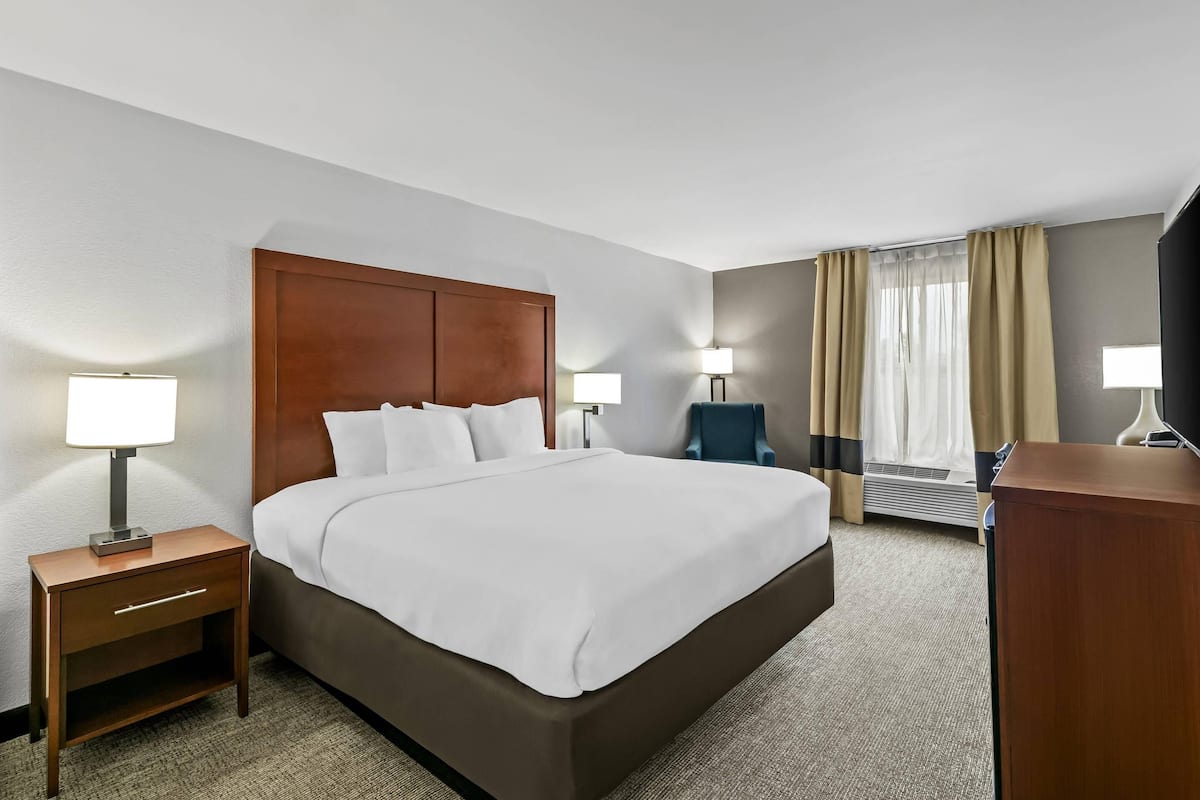 Standard Room, 1 King Bed, Non Smoking | Premium bedding, desk, soundproofing, iron/ironing board